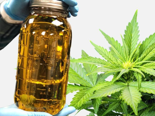 CannaFly-X : Full Spectrum Pure CBD Extract 10:1